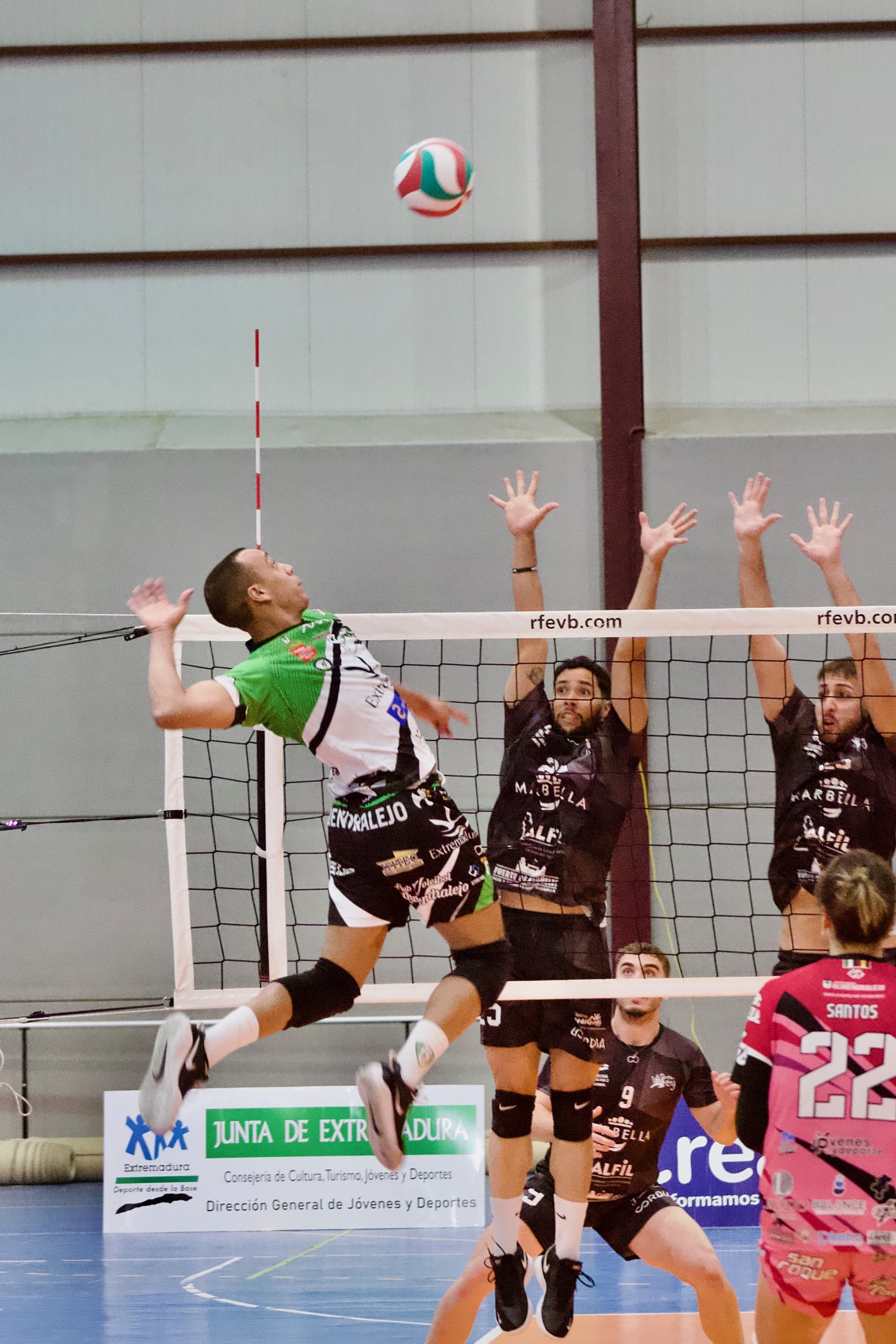 El CV Almendralejo se exhibe de nuevo en el pabellón San Roque