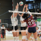 Heidelberg Volkswagen jugará su primera e histórica final de Liga Iberdrola ante el Avarca Menorca