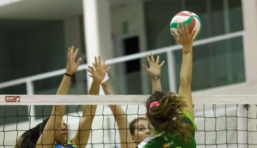 Valioso triunfo de Almería Volley Grupo 2008 sobre cvleganes.com