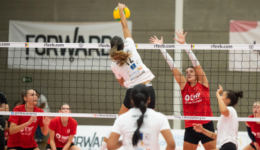 El Heidelberg Volkswagen no puede con el SC Potsdam en el arranque del Torneo Internacional Isla de 