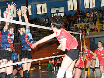 SF2. Última jornada