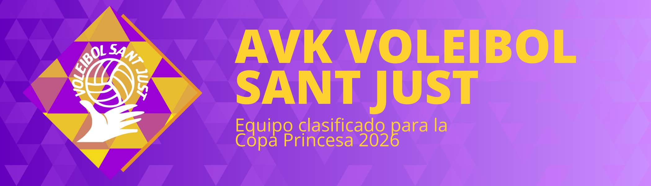 AVK Voleibol Sant Just